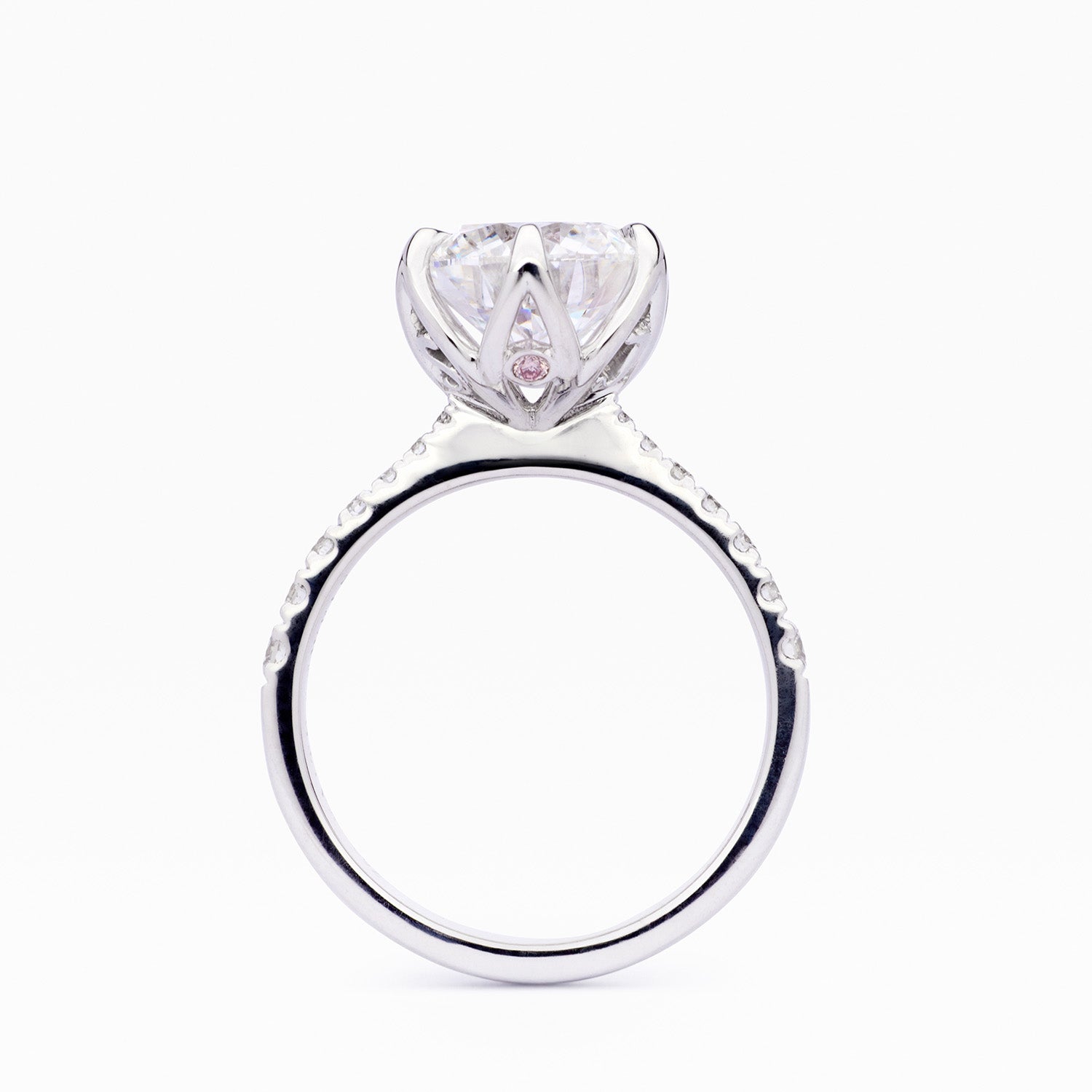Sylvia diamond engagement ring with round brilliant-cut center stone and pavé band in white gold by Faith Jewels